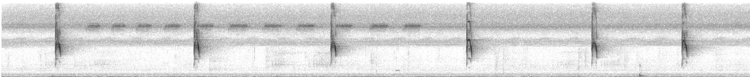 Kısa Gagalı Yaprakçeviren - ML611757168
