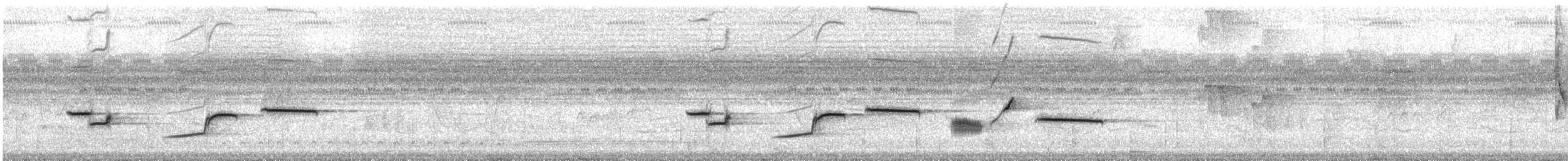 Epaulettentrupial (chrysocephalus) - ML611757812