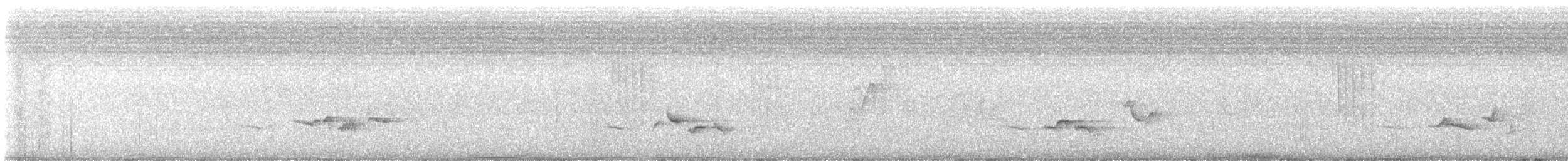 gråflanketrosteskvett - ML611758192