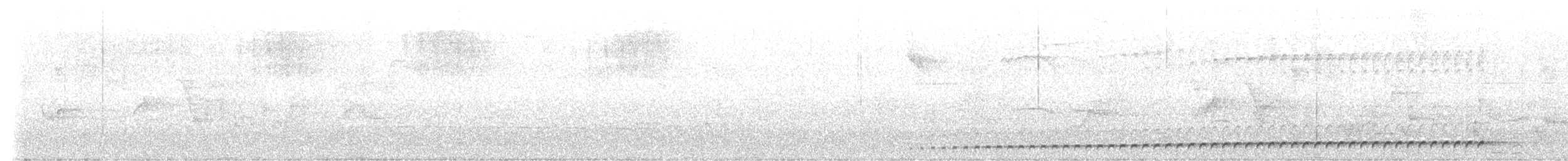 mravenčíkovec jihobrazilský - ML611759172