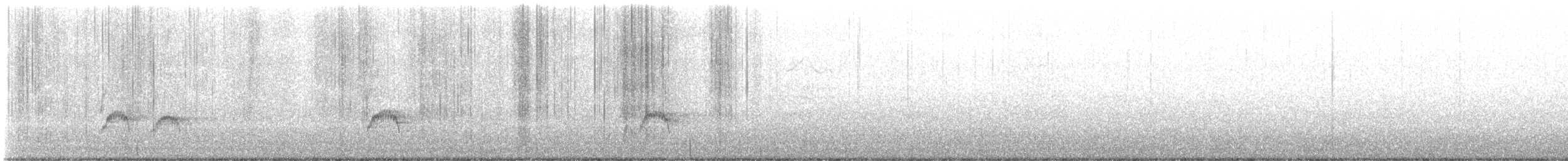 korela chocholatá (domestikovaná) - ML611760166