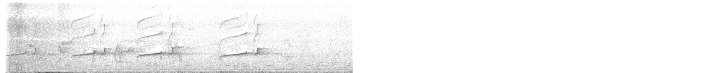 Зозуля товстодзьоба (підвид validus/brazzae) - ML611761074