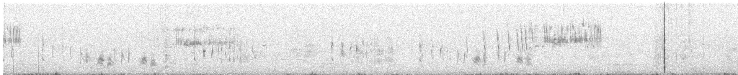 Woodchat Shrike (Balearic) - ML611766711