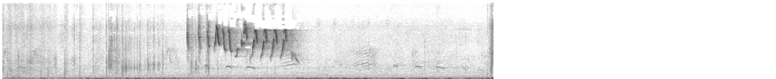 Белобрюхая нектарница - ML611782203