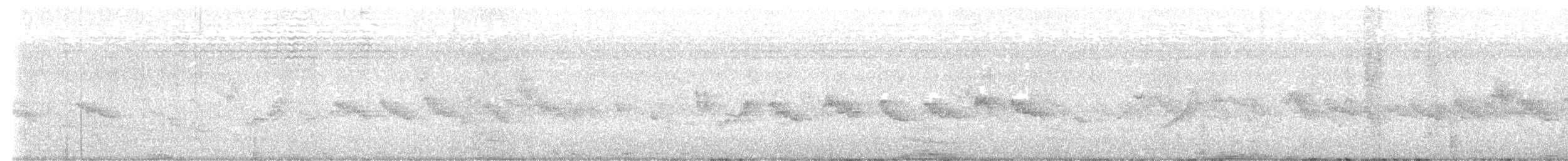 Капская белоглазка (capensis) - ML611782854
