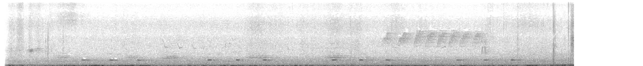 gulgumpkobberslager (bilineatus gr.) - ML611784088