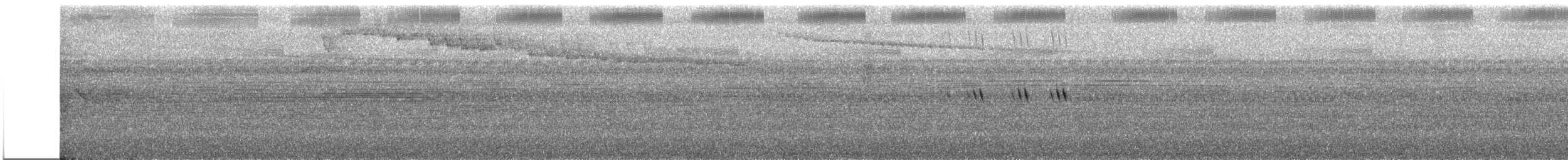 Калао таїландський - ML611785435