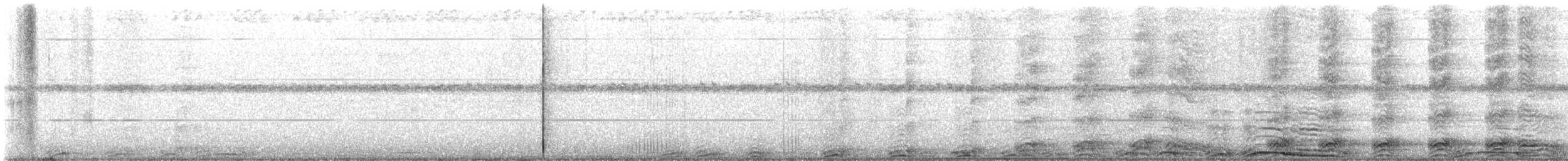 Cárabo Norteamericano - ML611787208