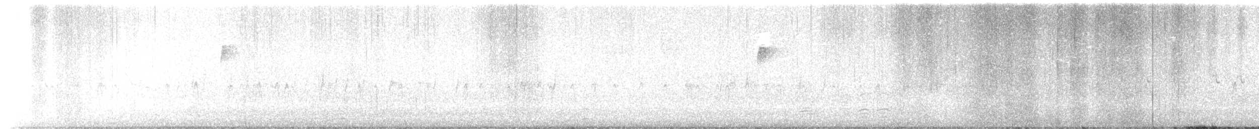 "Шишкар ялиновий (Northeastern, або тип 12)" - ML611789979