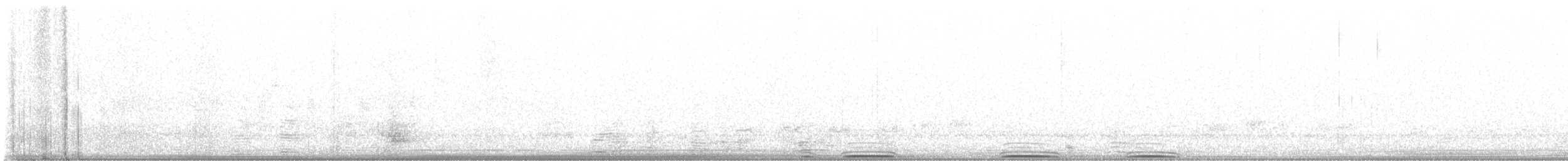 Western Grebe - ML611790498