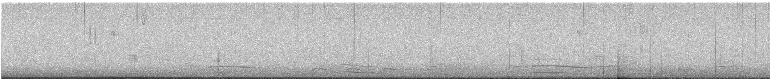Plongeon catmarin - ML611790915