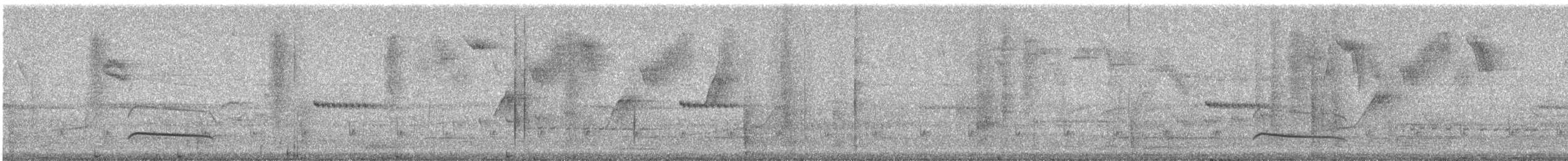 Copetón de Swainson (phaenotous) - ML611792332