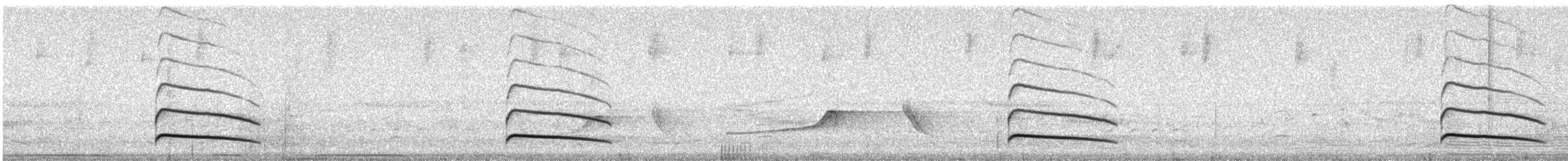 Swainson Sinekkapanı (phaeonotus) - ML611792333