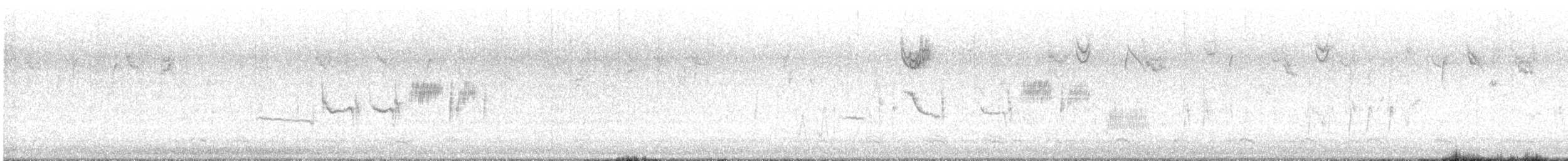 Bruant à couronne blanche (leucophrys/oriantha) - ML611807038