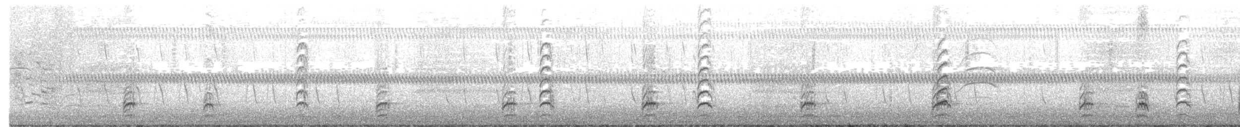 Schwarznacken-Stelzenläufer - ML611810946