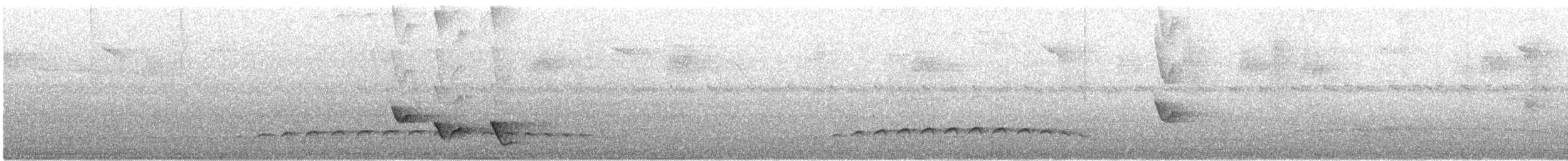 Длинноклювый крапивник - ML611813242