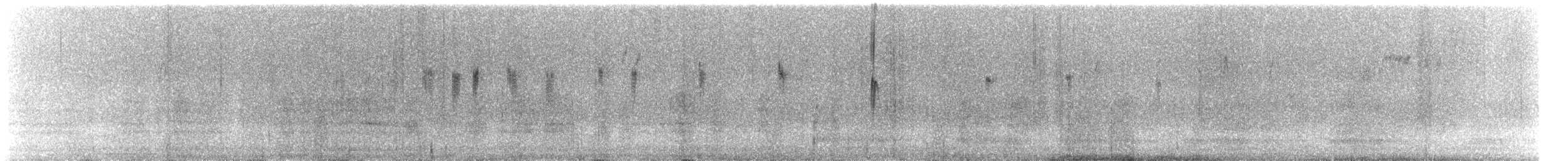 Neophema sp. - ML611817807