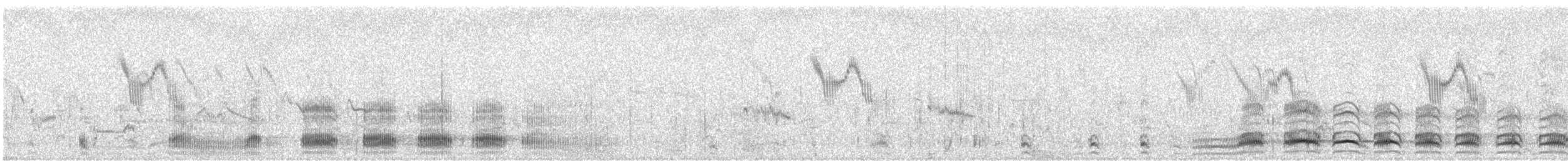 Slender-billed Gull - ML611819428