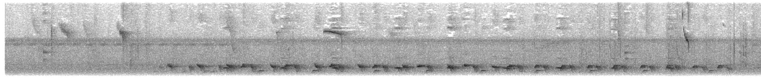 Troglodyte bicolore - ML611820252