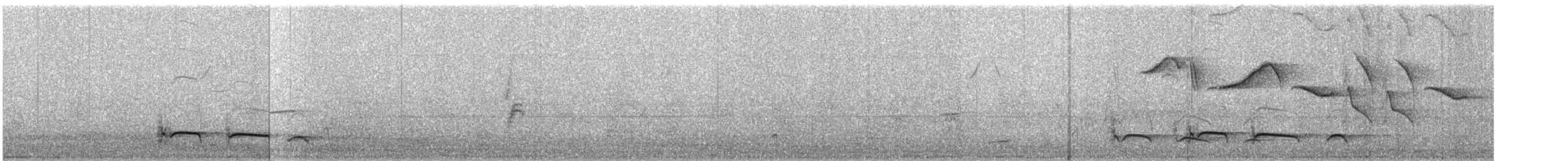 Kaatinga Pufkuşu (striatipectus) - ML611824305