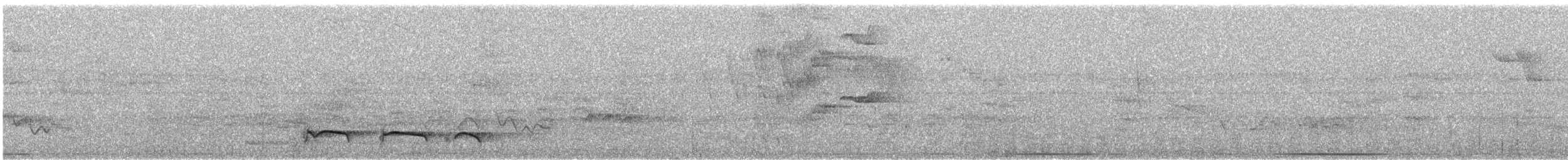 Лінивка-смугохвіст плямистобока (підвид striatipectus) - ML611824342