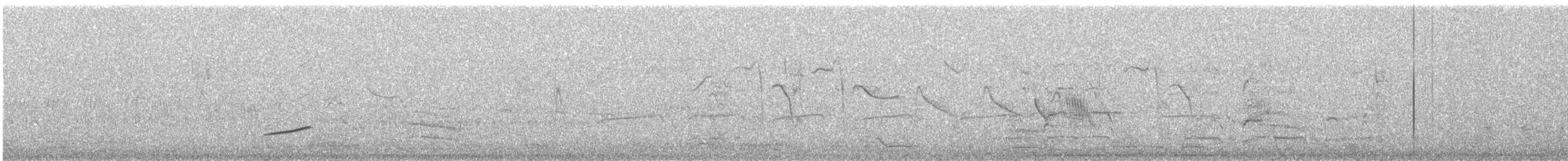 White Monjita - ML611824539