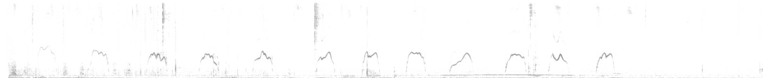 Буревісник-крихітка каприкорновий (підвид tunneyi) - ML611825109