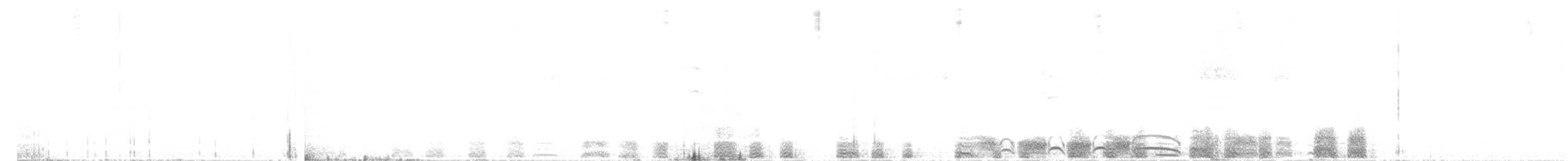 Zwergsturmtaucher (tunneyi) - ML611825249