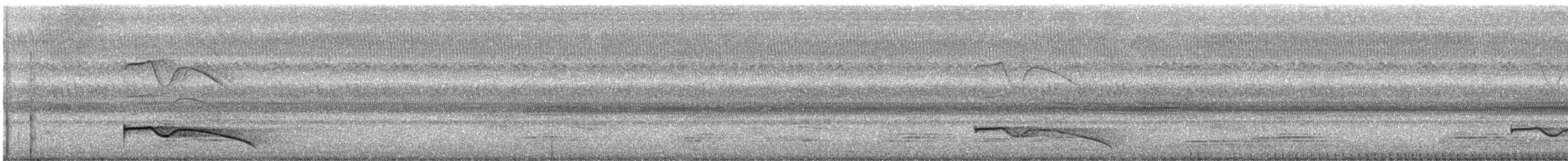 Great Eared-Nightjar (Great) - ML611825784