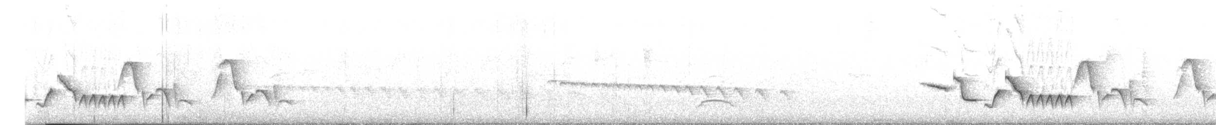 Серогрудый крапивник - ML611829538