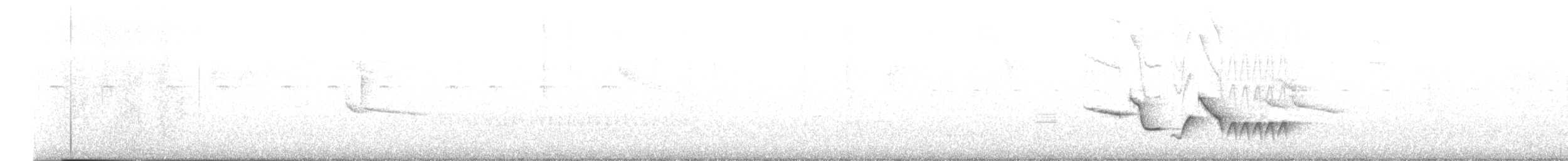 Серогрудый крапивник - ML611829539