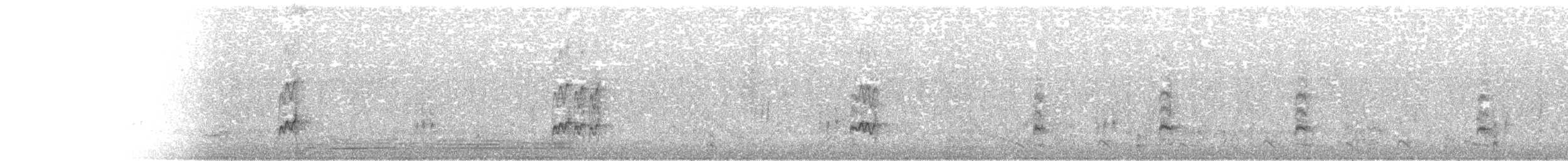 Nutting's/Salvadoran Flycatcher - ML611832637