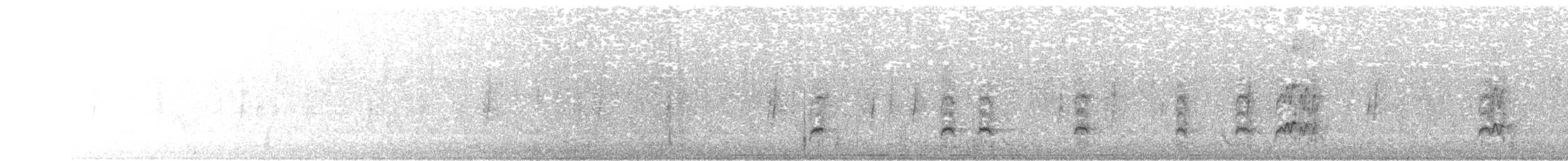 Nutting's/Salvadoran Flycatcher - ML611832638