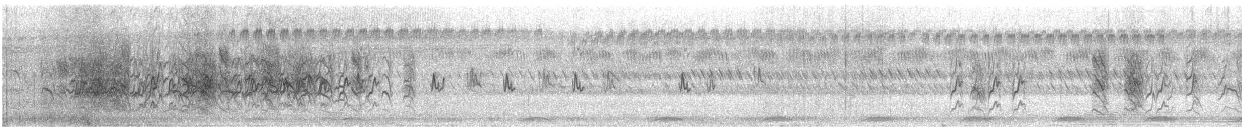 チャムネカエデチョウ - ML611833673