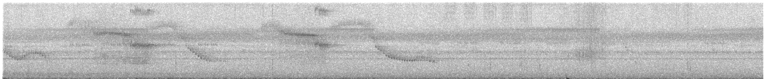 Сипуха темно-бура (підвид multipunctata) - ML611834407