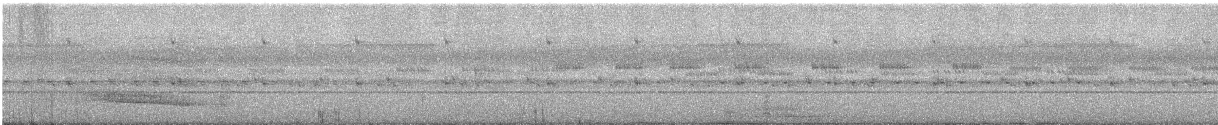 Сипуха темно-бура (підвид multipunctata) - ML611834408