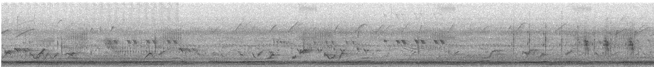 Gray Crowned-Crane - ML611835717