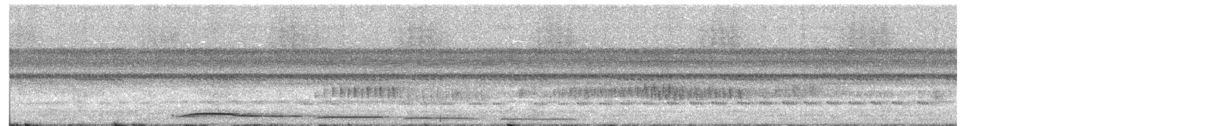 Common Potoo - ML611836477