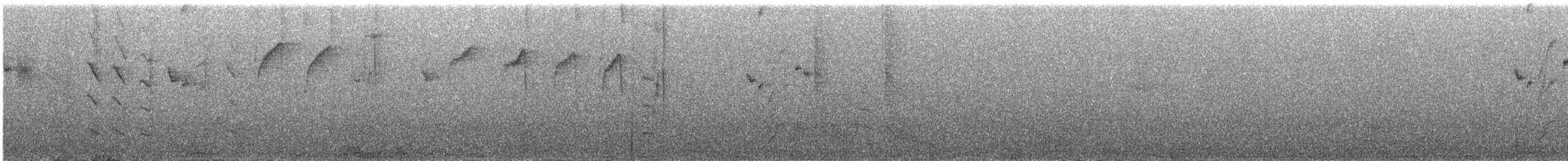 Тёмногорлый колибри-отшельник - ML611837006