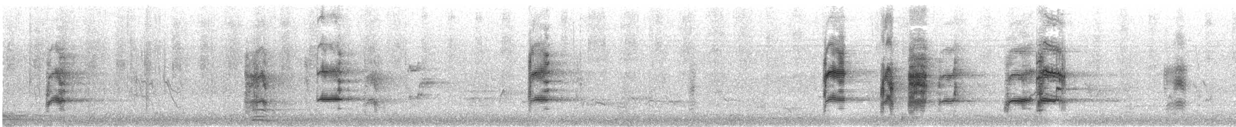Perroquet à cou brun (suahelicus) - ML611837161