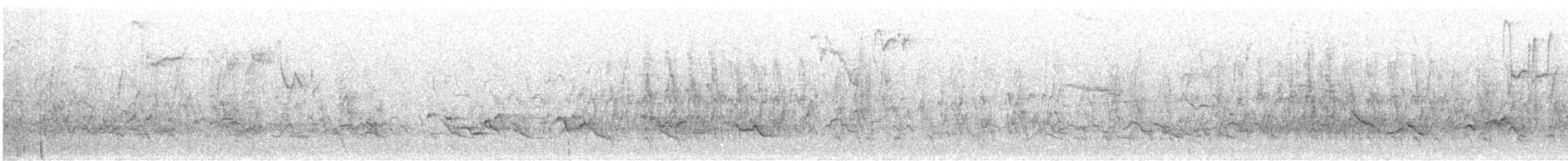 American Robin - ML611839503