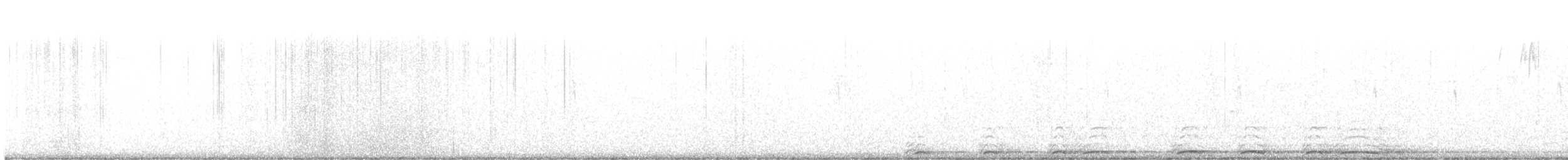 Barred Owl - ML611839804
