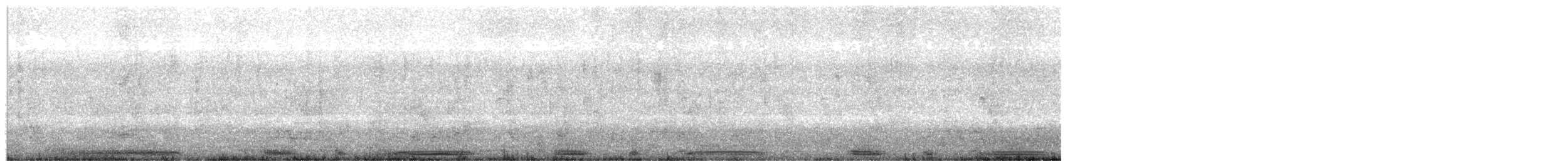 holub skvrnokřídlý - ML611847546
