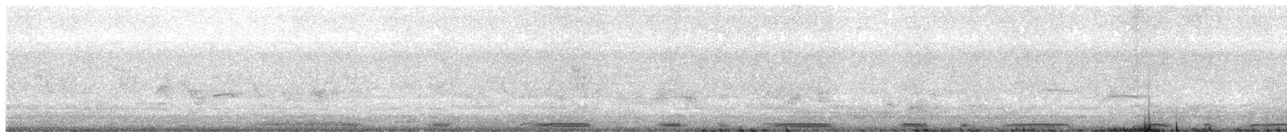 holub skvrnokřídlý - ML611847636