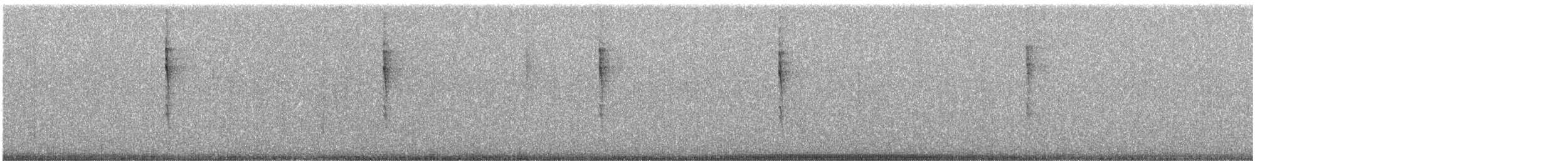 Troglodyte de Baird - ML611851809