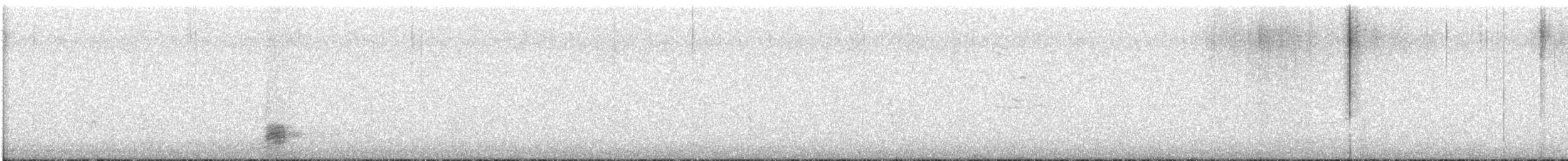 Зэрлэг нугас - ML611855407