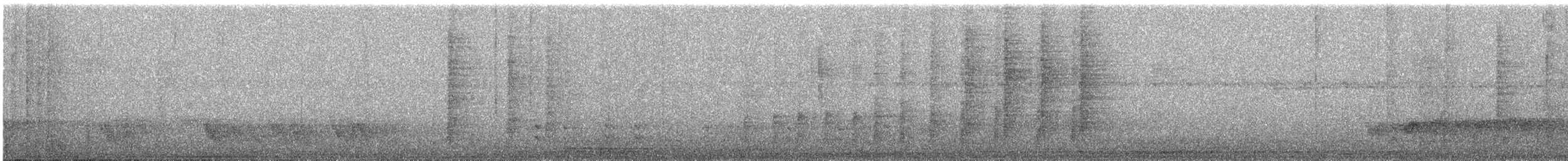 svartkroneløvgransker - ML611856357