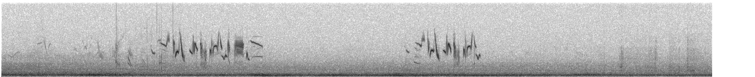 Сибирский черноголовый чекан (przewalskii) - ML611860503