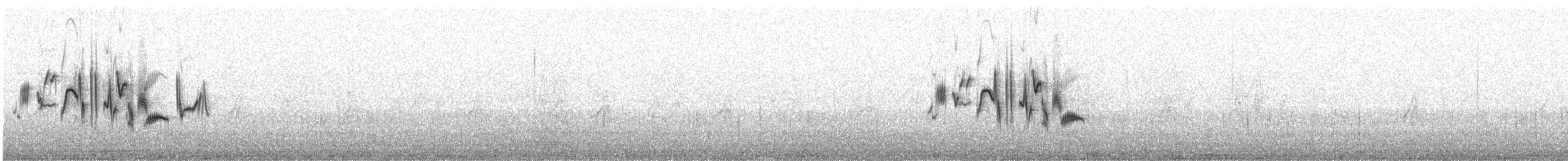 Трав’янка білошия (підвид przewalskii) - ML611860541