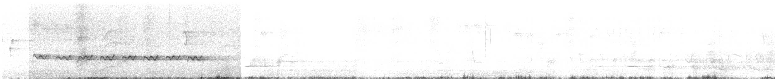 Белохвостая дриада - ML611861706